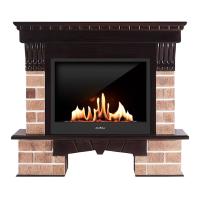 Биокамин в портале SteelHeat RS, стемалит