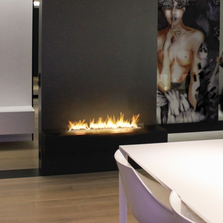 Биокамин  Fire Line Electronic L=990 black по цене 444 000 руб.